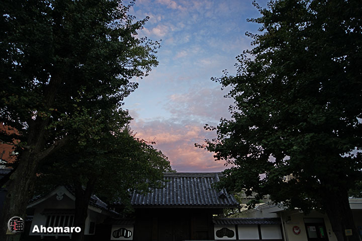 写真00