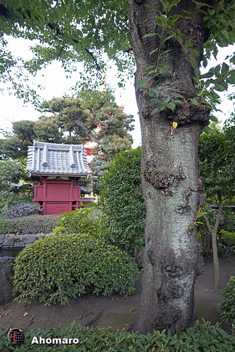 写真00