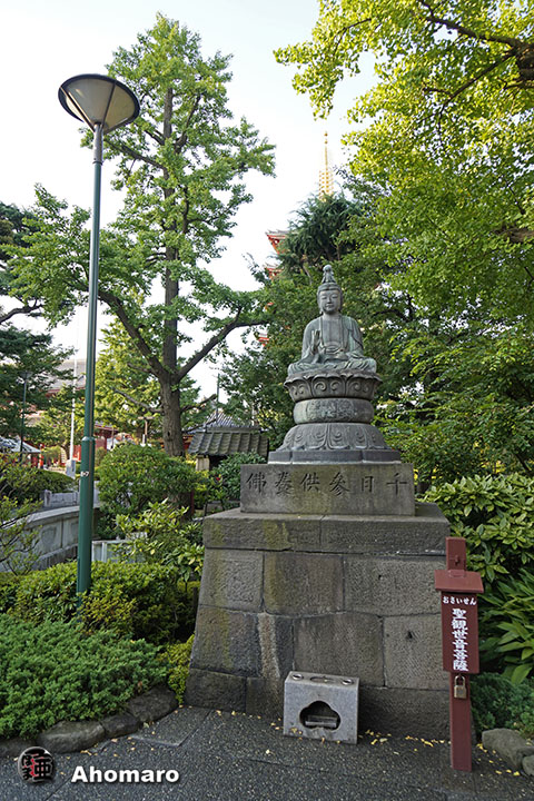 写真00