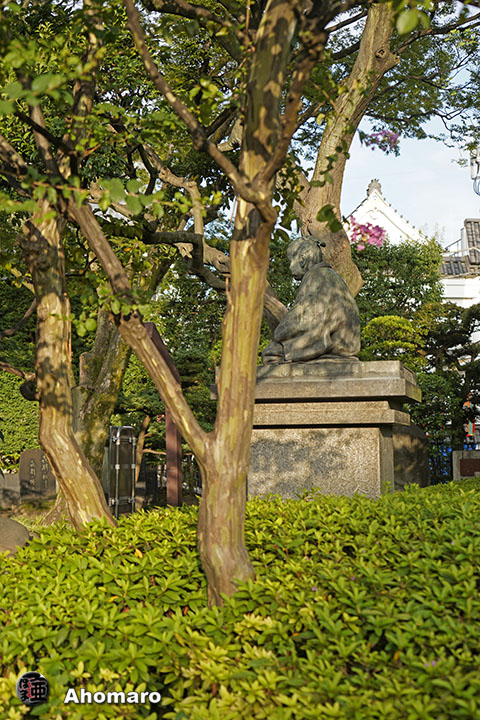 写真00
