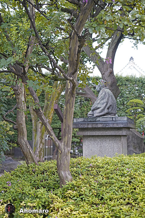 写真00