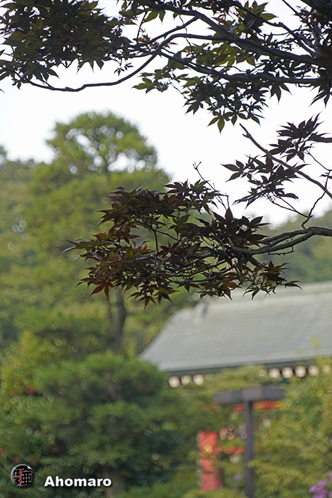 写真00