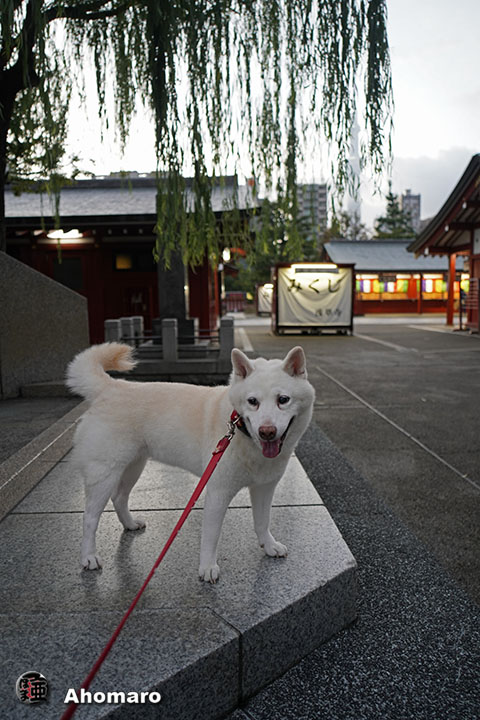 写真00