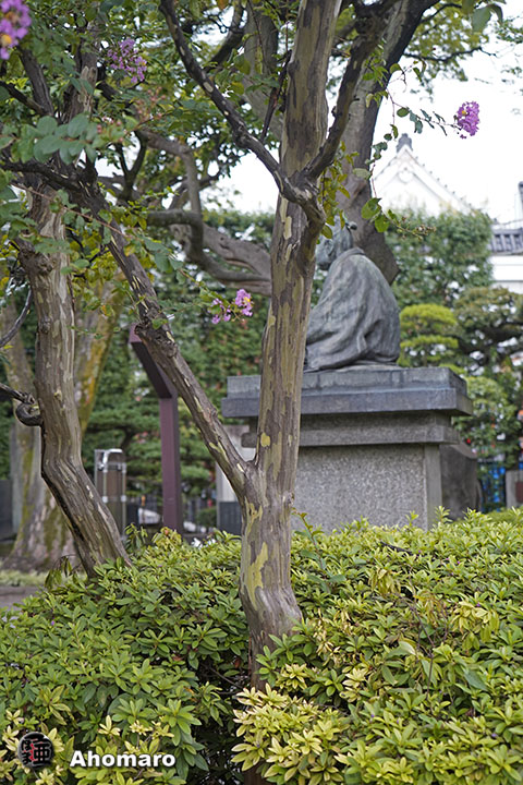 写真00