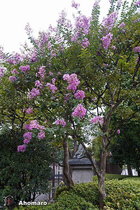 写真00