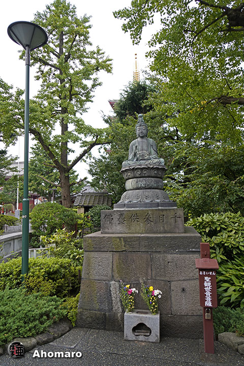 写真00