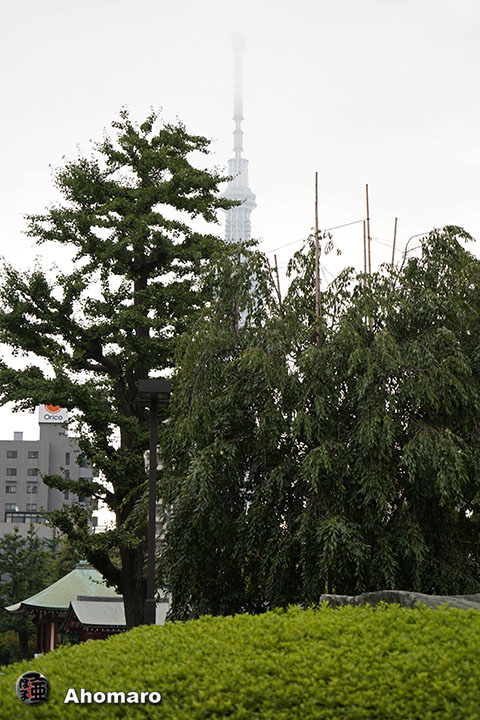 写真00