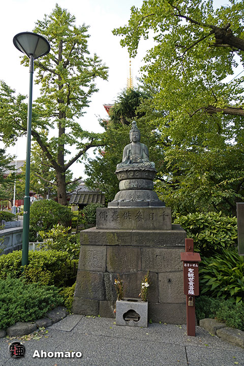 写真00