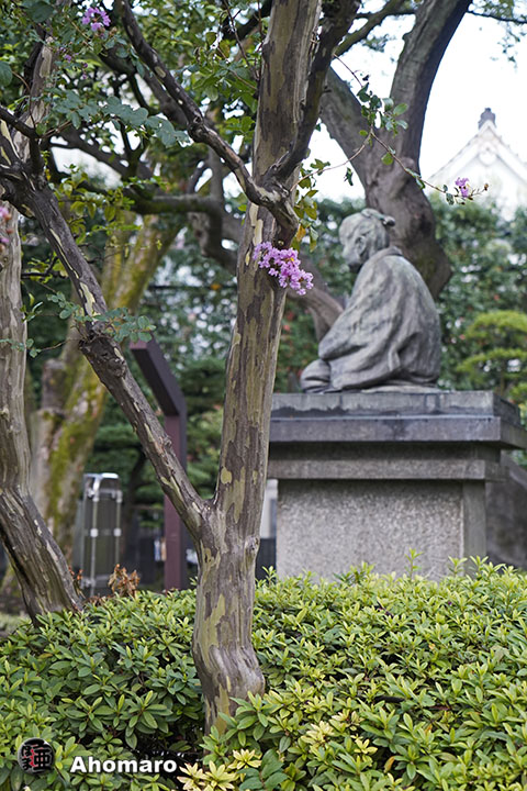 写真00