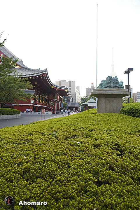 写真00
