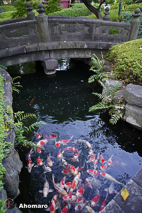 写真00