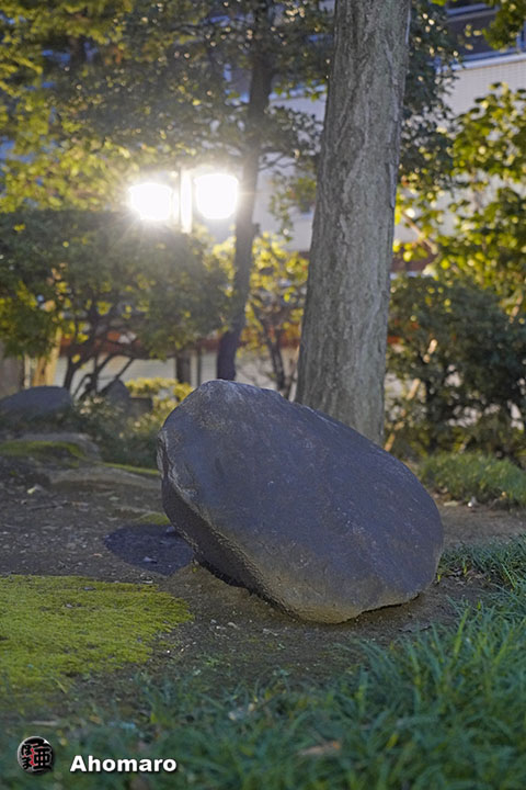写真00