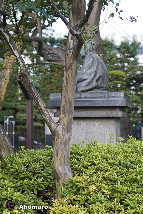 写真00