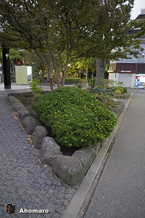 写真00
