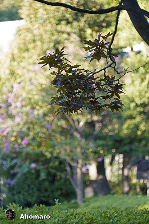 写真00