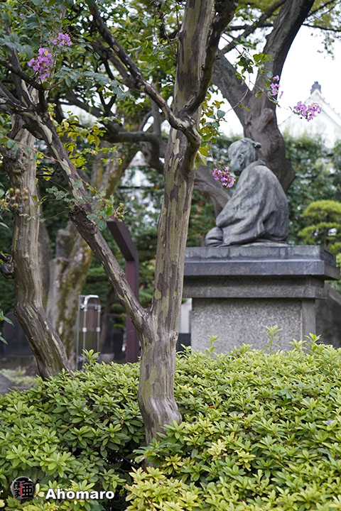写真00