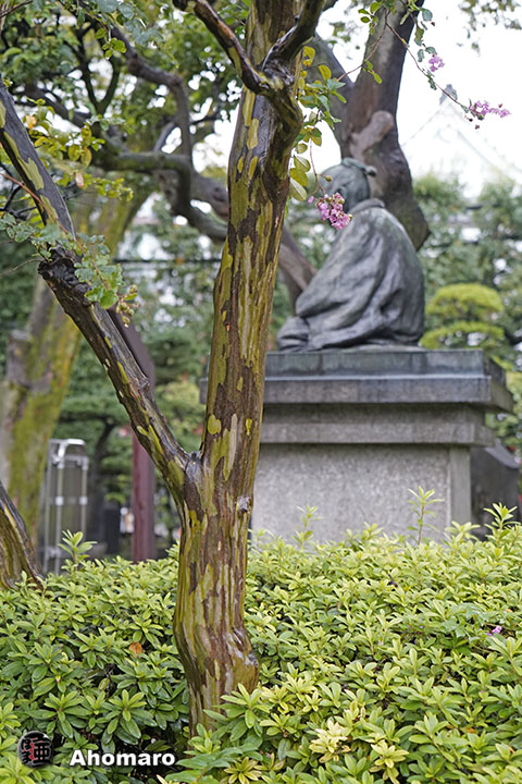 写真00