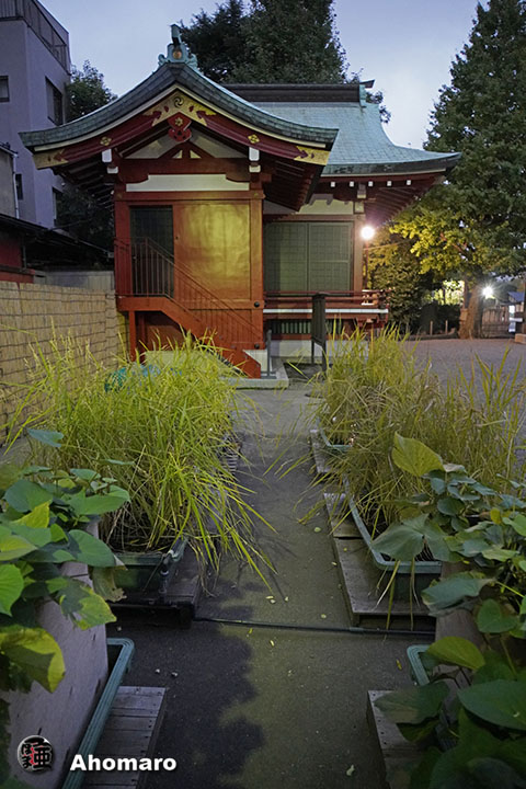 写真00