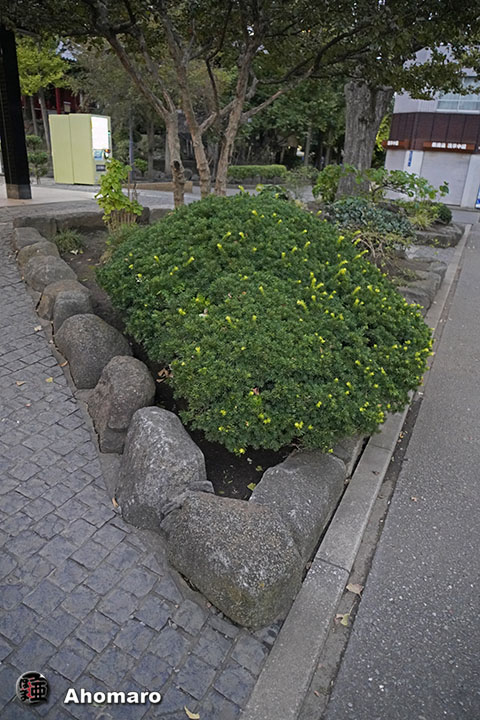写真00