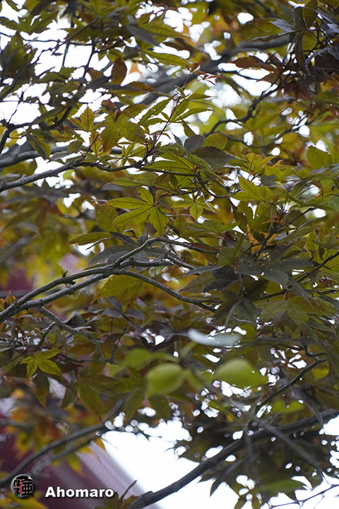写真00