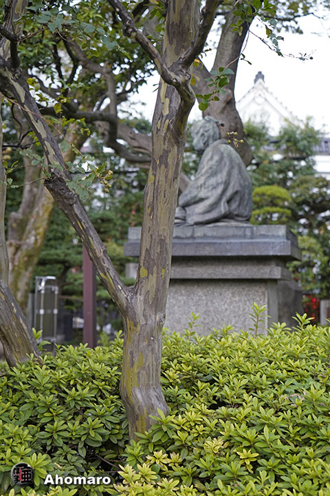 写真00