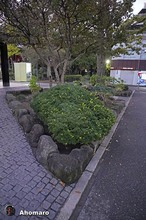 写真00