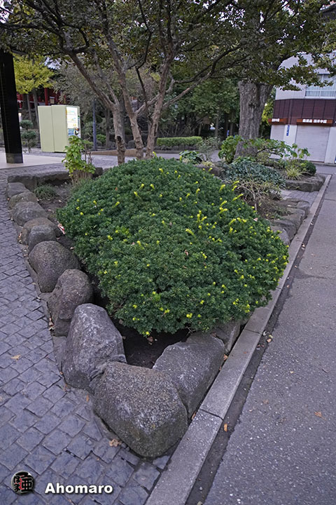 写真00