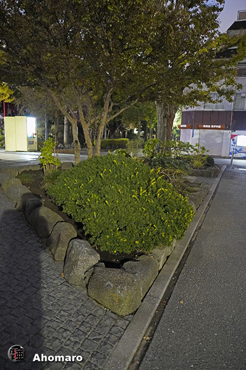 写真00