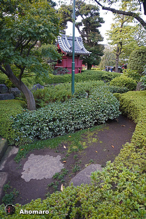写真00