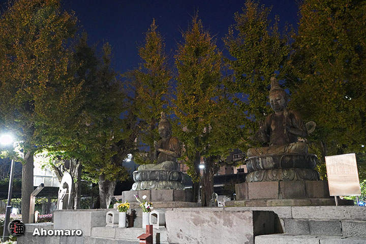 写真00