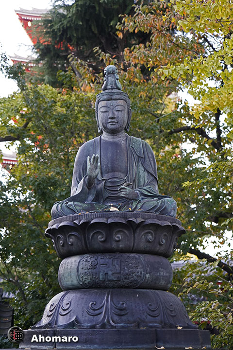 写真00