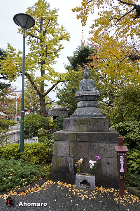 写真00