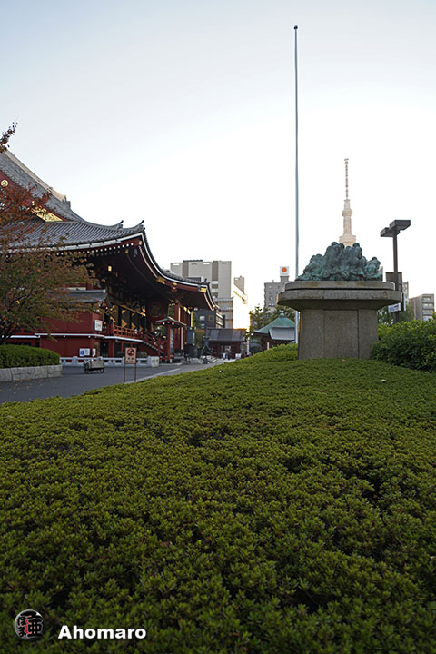 写真00