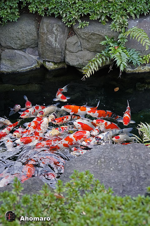写真00