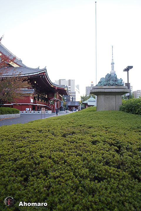 写真00