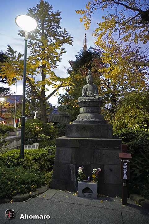 写真00