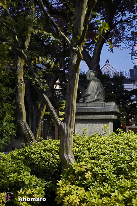 写真00