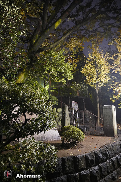 写真00