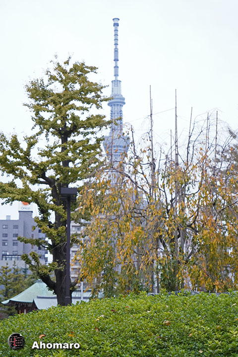 写真00