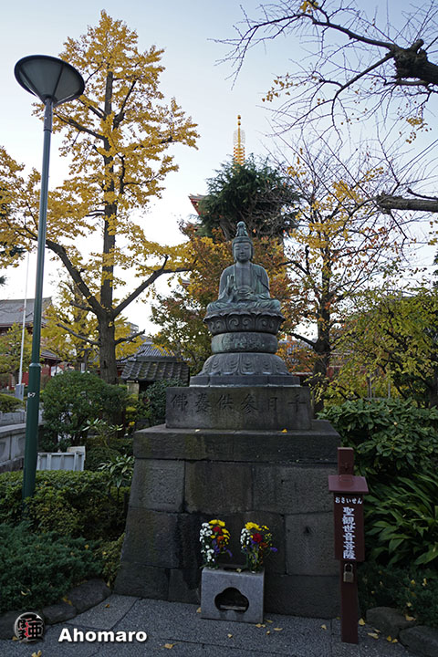 写真00
