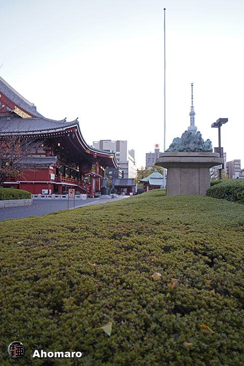 写真00
