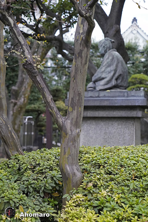 写真00