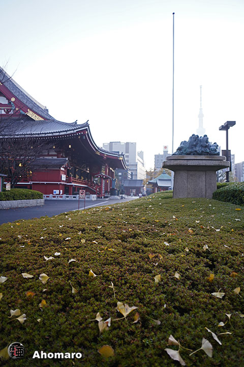 写真00