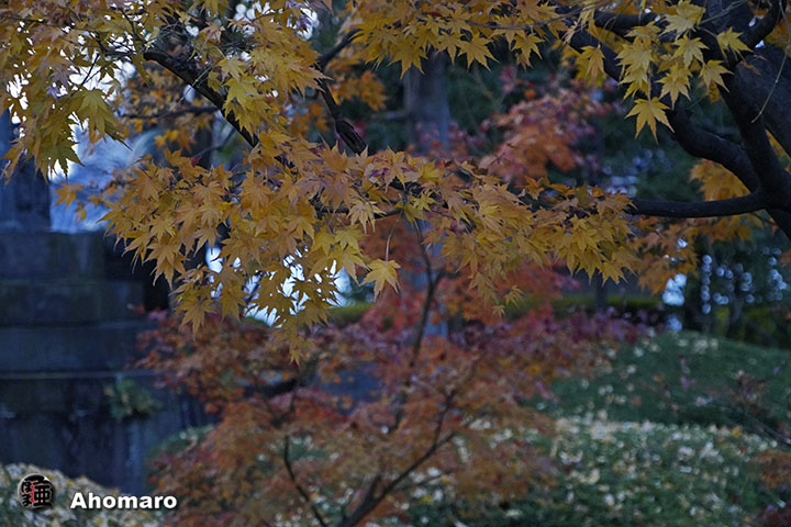 写真00