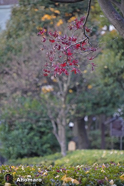 写真00