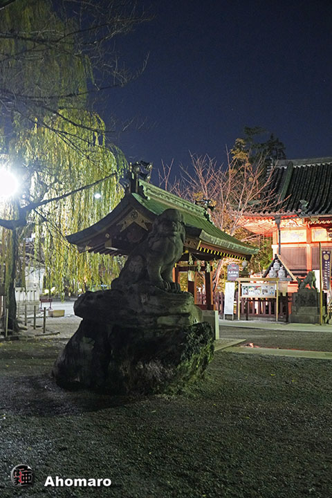 写真00