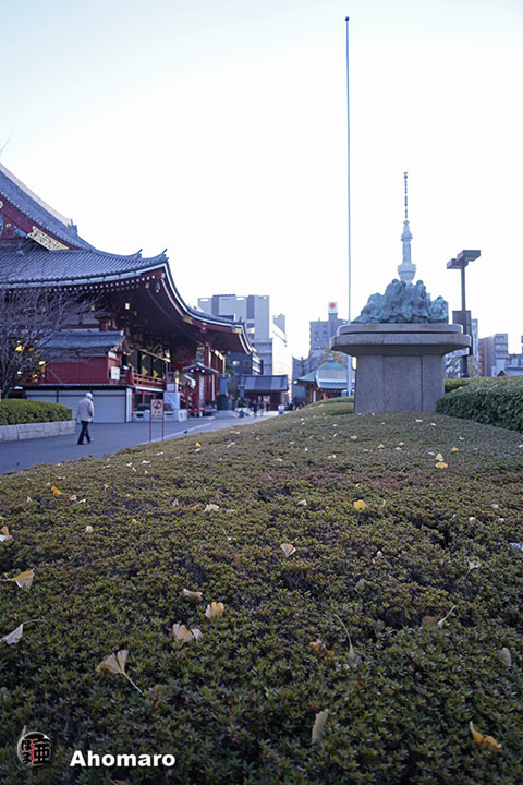 写真00