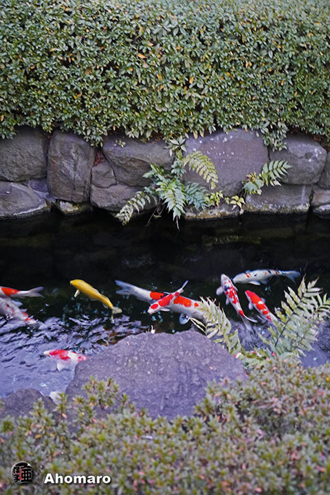 写真00