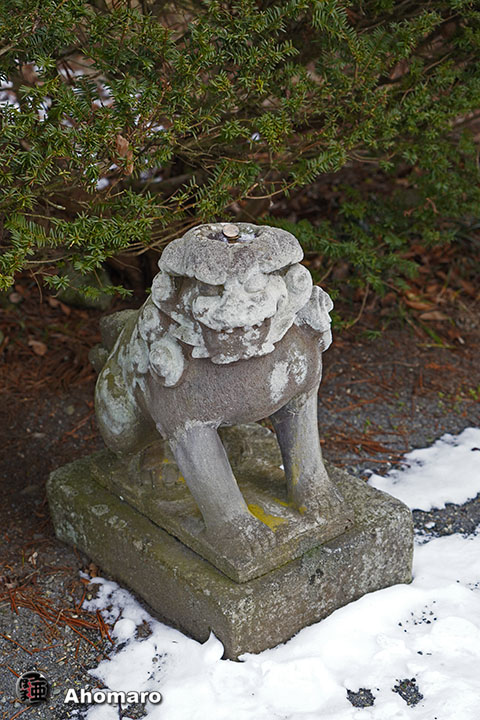 写真00