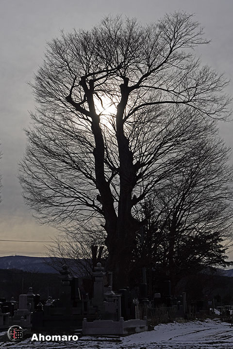 写真00